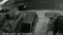 Neighbour Allows Dog to Mess On My Pathway - Multiple Times