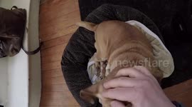 Bowling ball on frozen snow is awesome