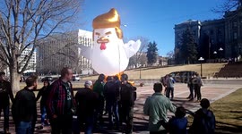 Trump chicken tax reform protest on west side of Colorado Capitol