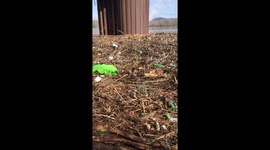 Huge Mess In The Ohio River Wurtland Kentucky