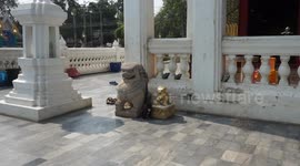 When the statue came alive!