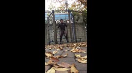 16kg Weighted pull up x 9