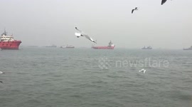 Cheerfull Seagulls entertaining the tourists amidst the Arabian Sea