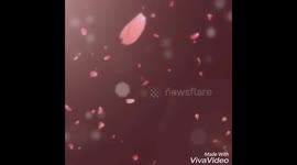 Cute love song with love theme.