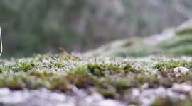 Camera test in the mountains