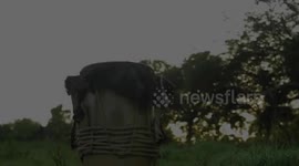 Habladurias (Manuel Rodriguez Cardenas)