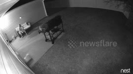 Uncle Scared By Daisy The Pig