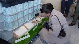 Princess Anne cuts 30 metre high cake!