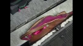 LeeVees and Zambonis Dave Schneider 1965 Gibson damaged by Delta 1