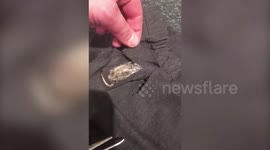 UK mum discovers dead MOUSE sewn into daughter's school skirt