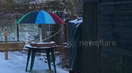 Snow proof 'umbrella' bird table approved by Robin