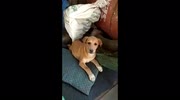 temp