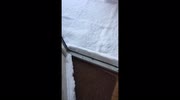 temp