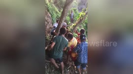 Newsflare Edit - Backpacker rescued after falling 100ft down cliff while looking for drone