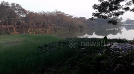 garbage kills JU lake