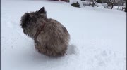 temp