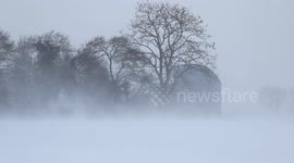 Beast from the East: Blizzard whips snow across Armagh field