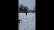 temp