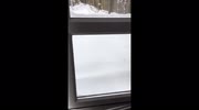 temp