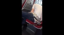 Two men snort lines of cocaine on a SW Train