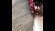 temp