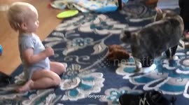 Baby vs Cat:  When Cats Strike Back
