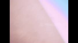 Tiger sharks bang into camera multiple times