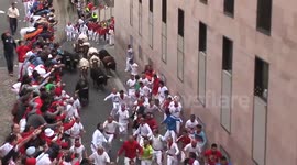 Running of the bulls, 9/7/14