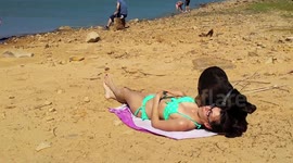 Dog makes sunbathing very difficult for his owner