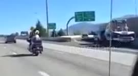 Dog on a damn motorcycle