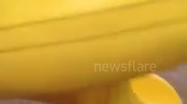 Doberman crashes into camera