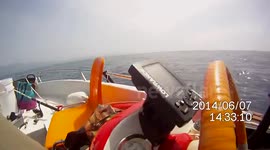 peche en corse requin a peau bleu