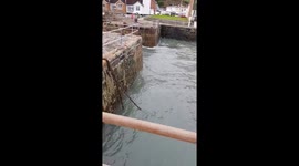 Portreath Harbour Cornwall