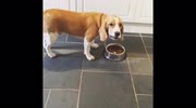 temp