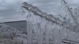 Monster Ice Formations On Tree Branches