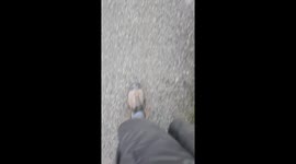 Beast from the East all but gone