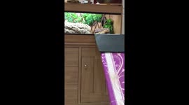 Day two of ironing board sliding