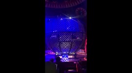 Death Bike Riders at Circus