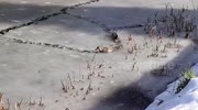 temp