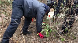Using dry ice to combat rats