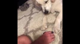 Finn, can you cut the cards please?