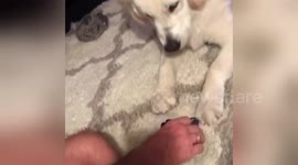 Newsflare Edit - Finn, can you cut the cards please?