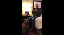 French Bulldog acting