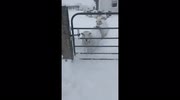 temp