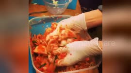 Newsflare Edit - Kimchi fermentation workshop