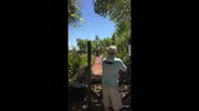 temp