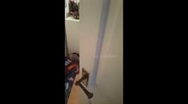 Dad and Lad - Dad scares lad playing on Minecraft