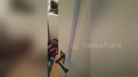 Newsflare Edit - Dad and Lad - Dad scares lad playing on Minecraft