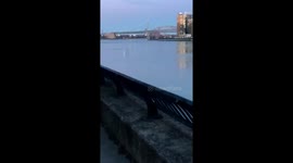@cnn @FoxNews just witnessed a helicopter crash into the East River .. hope everyone’s ok. Caught it all on tape! https://t.co/saHOMTLR69
