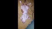 temp